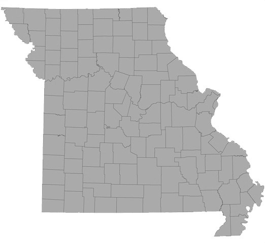 A Map Of Missouri Showing The Outline Of Each County - Gerrymandering Missouri (522x480), Png Download