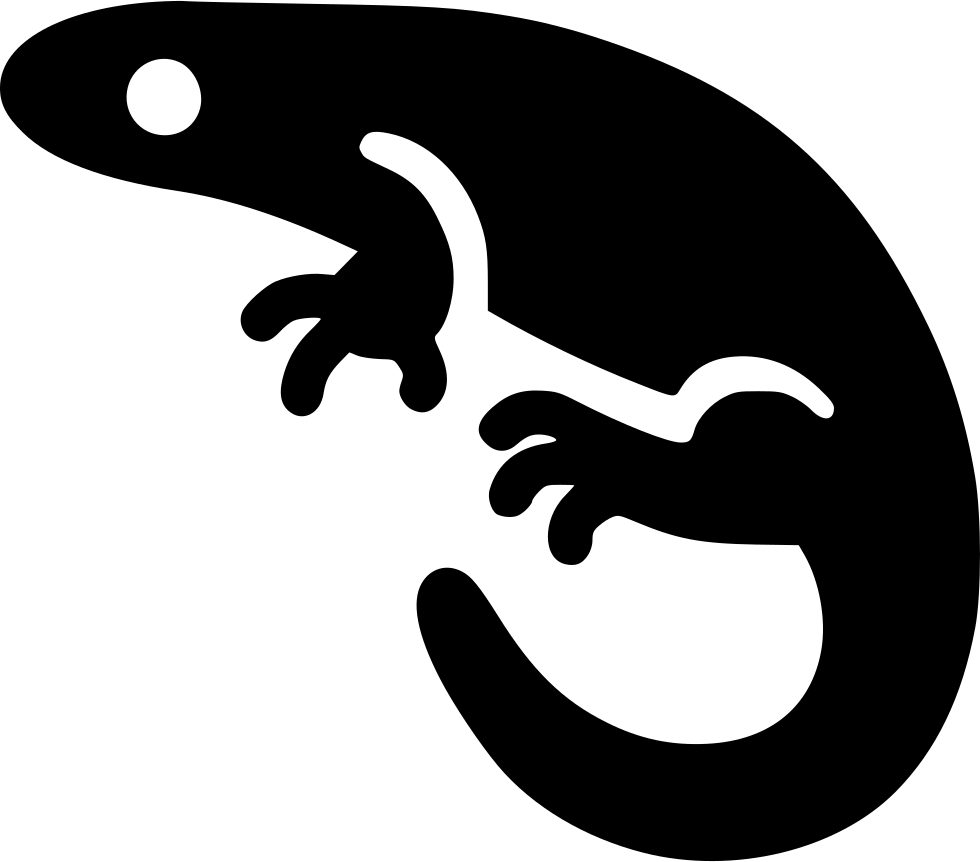 Png File - Svg Salamander (980x862), Png Download