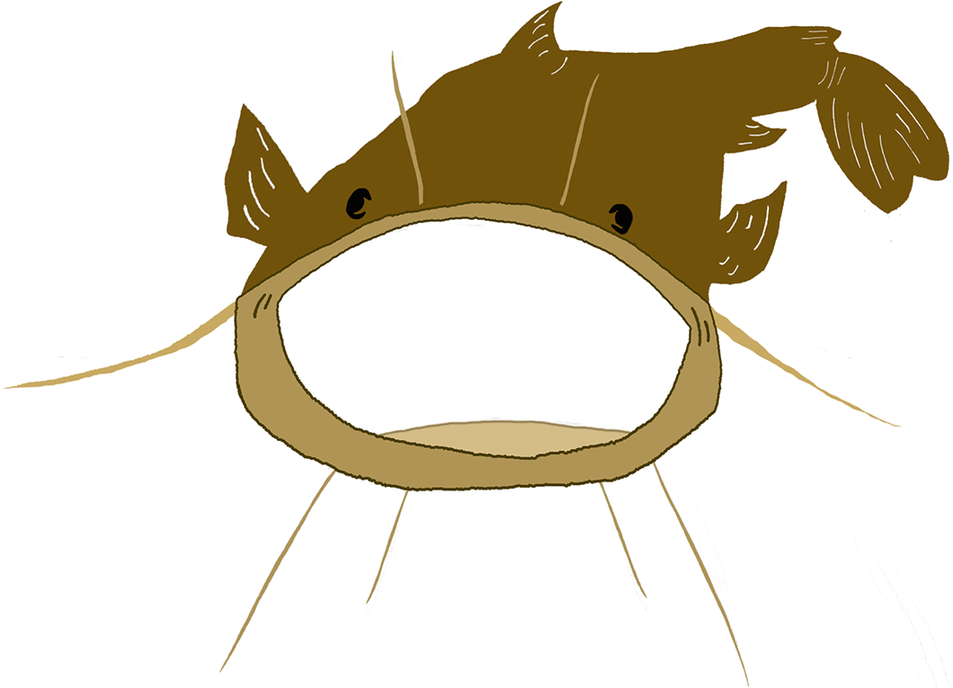 - About - - Catfish (1183x783), Png Download