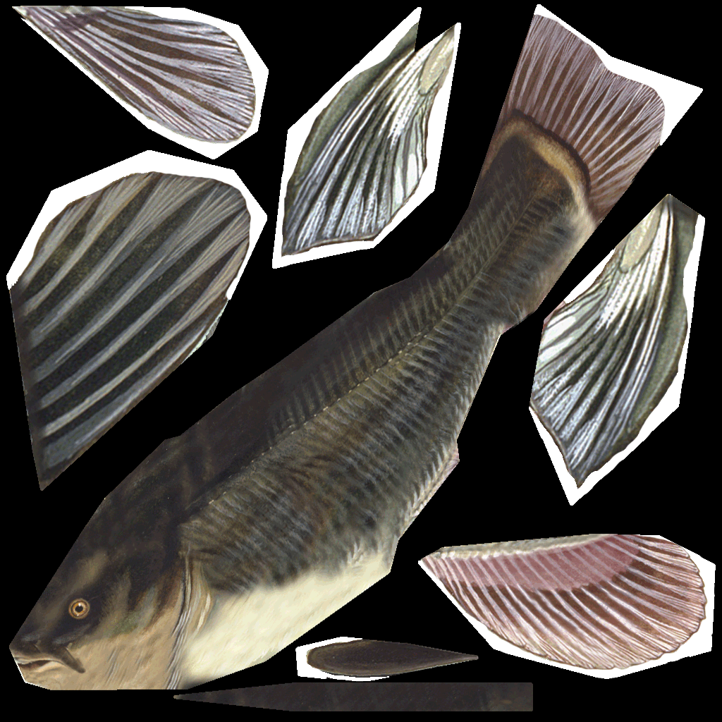 Catfish - Fish Products (1024x1024), Png Download