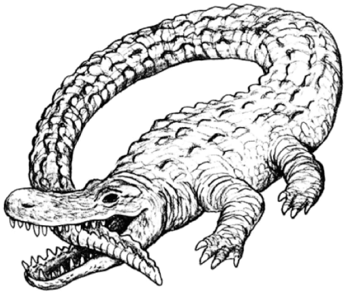 Catfish And The Bottlemen Alligator (541x541), Png Download