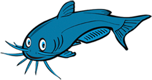 Edward Cohen - Catfish Cartoon (500x278), Png Download