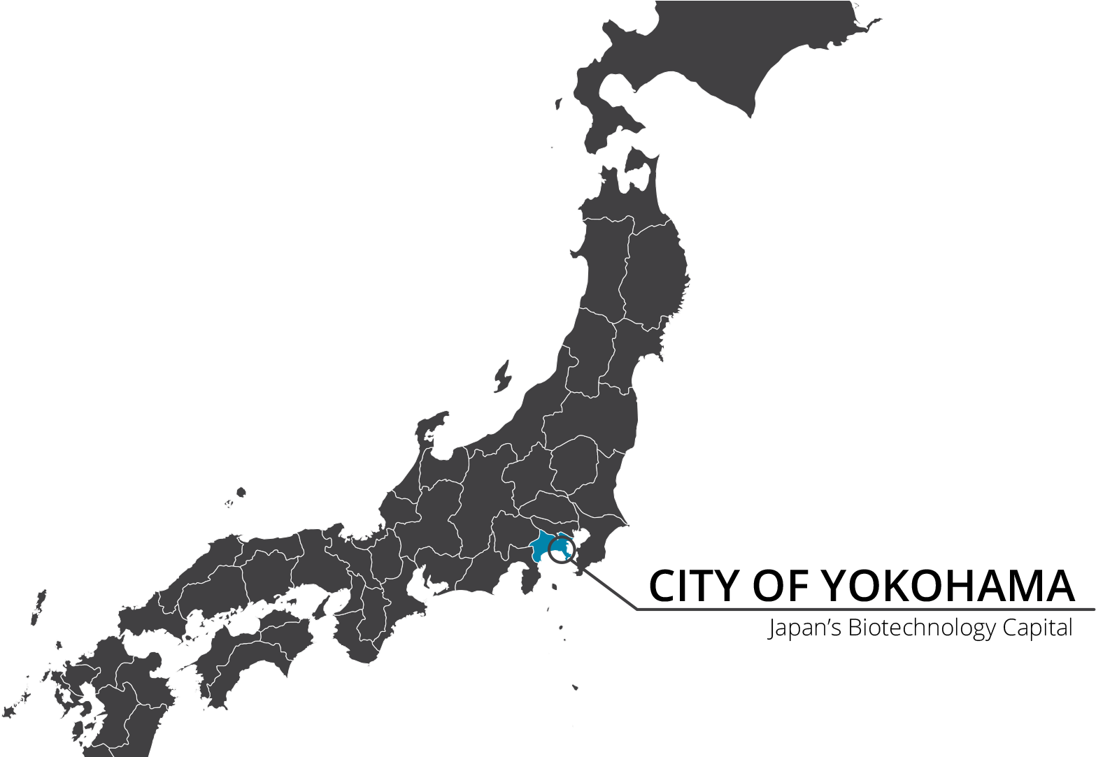 Capital Of Japan - Japan Vector Map (974x559), Png Download