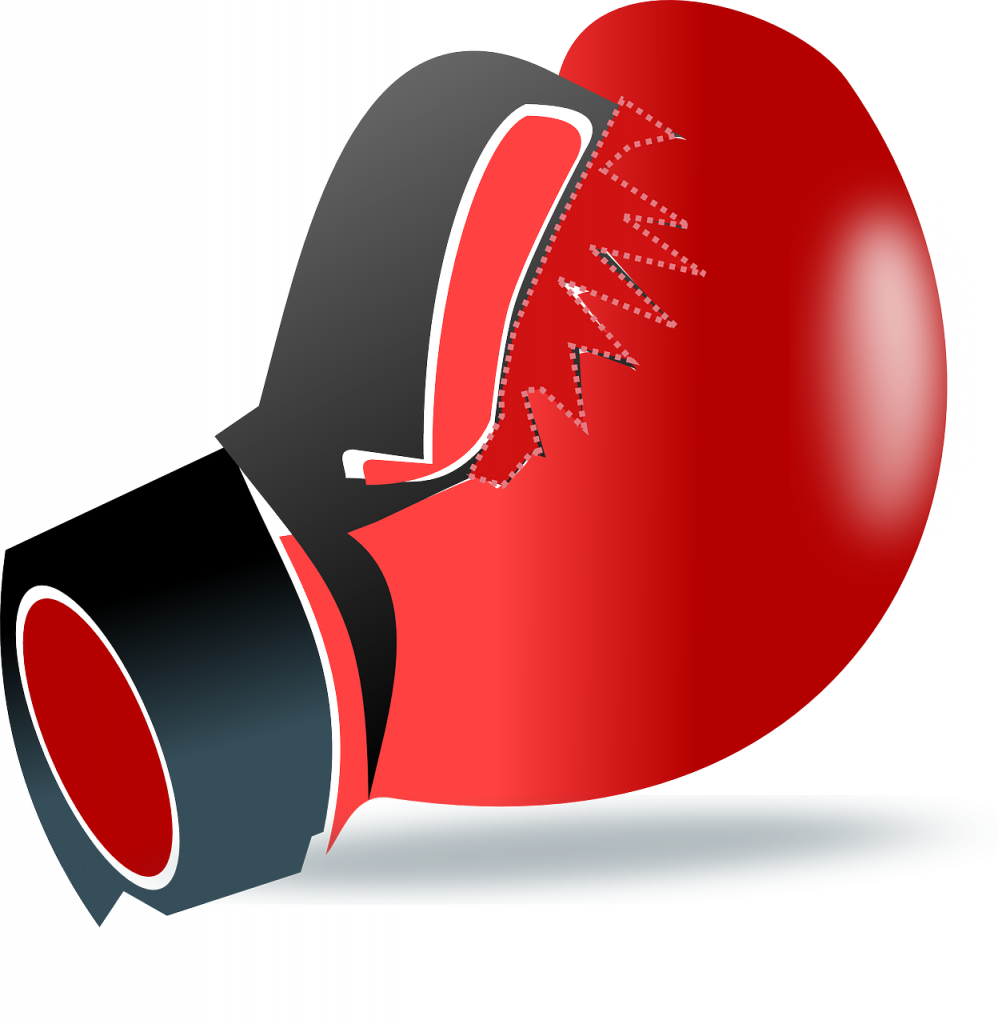 How Are Bet365 Sport Pricing Up Mayweather V Mcgregor - Boxing Glove Clipart Png (998x1024), Png Download