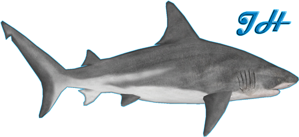 Bull Shark - Zoo Tycoon 2 Bull Shark (1023x491), Png Download