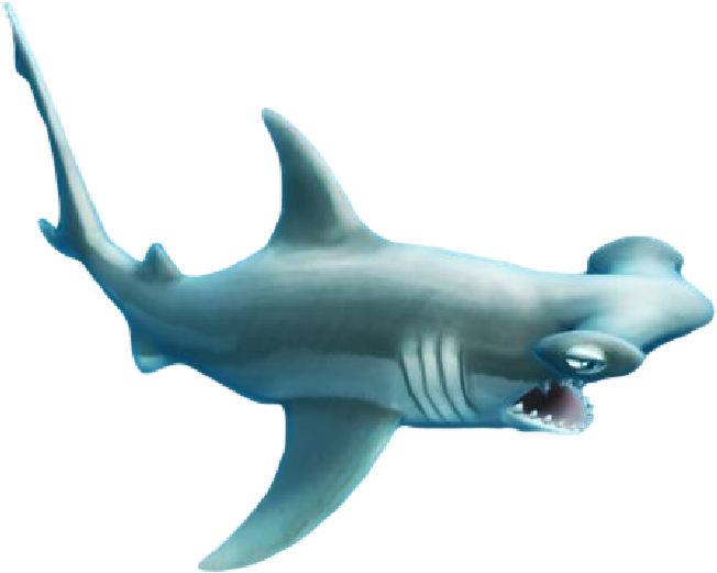 Hammerhead Banner - Hungry Shark Hammerhead Shark (665x535), Png Download