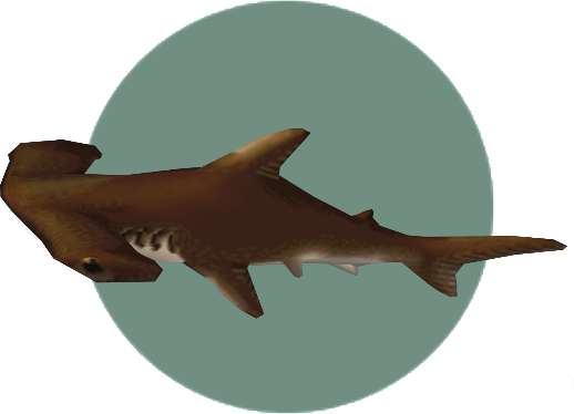 Hammerhead Shark Png - Hammerhead Animal Crossing (518x374), Png Download