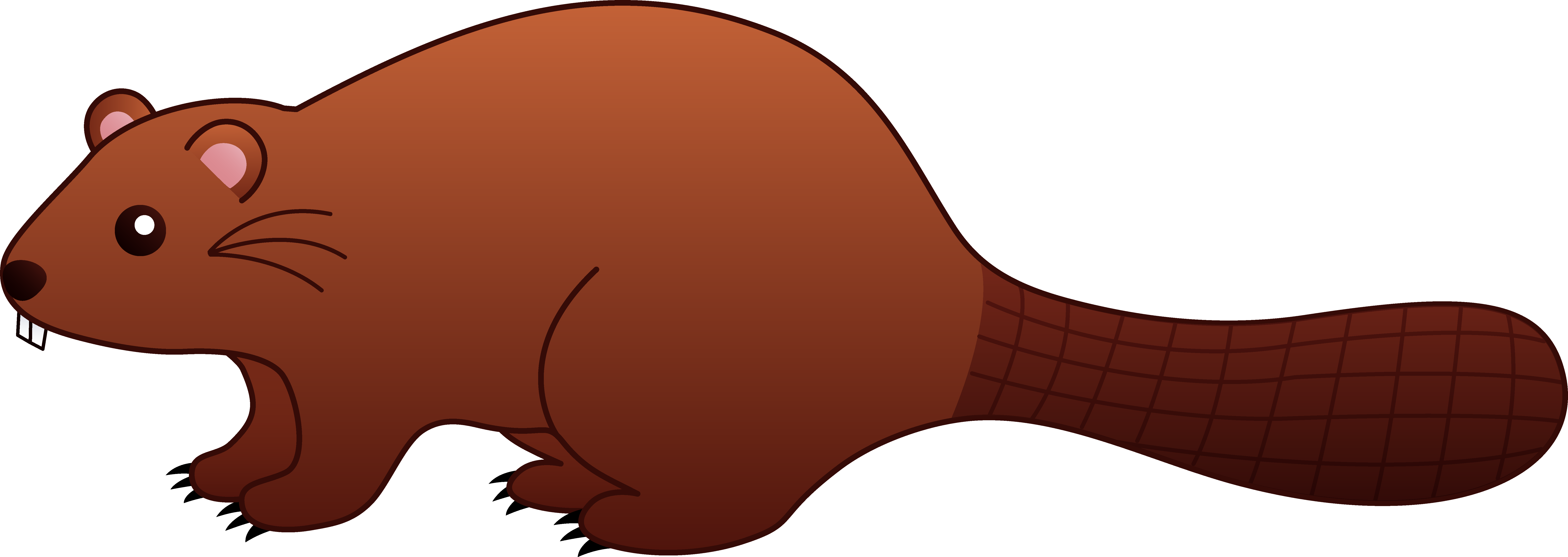 Clipart Beaver - Clip Art Beaver (8001x2843), Png Download