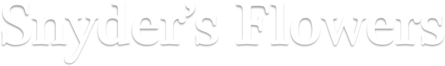 Snyder's Flowers - Calligraphy (1704x440), Png Download