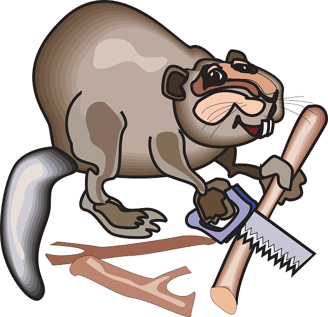 Cartoon, Saw, Beaver, Art, Animal, Business - Бобер Анимационные (640x620), Png Download