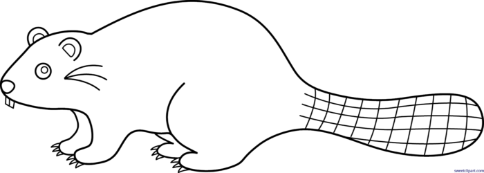 Clipart Resolution 700*250 - Beaver Clipart Black And White Png (700x250), Png Download