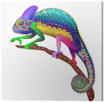 Chameleon Fantasy Rainbow Colors Canvas Print • Pixers® - Chameleon Fantasy Rainbow Shower Curtain (400x400), Png Download