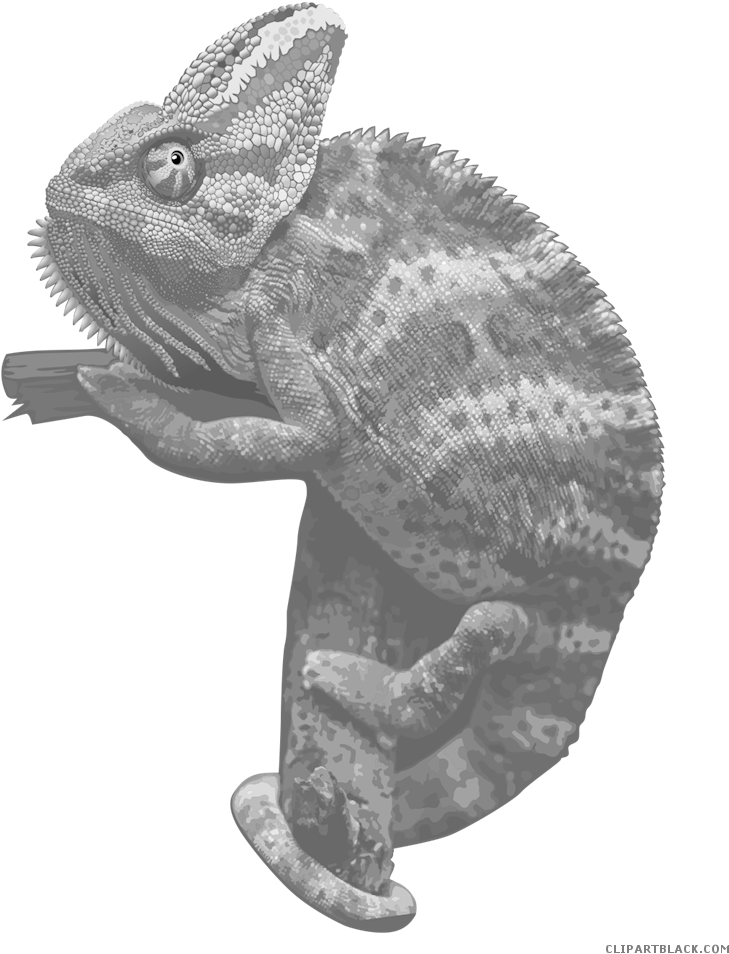 Chameleon Clipart - Personalisiertes Chamäleon Rundes Keramik Ornament (800x1019), Png Download