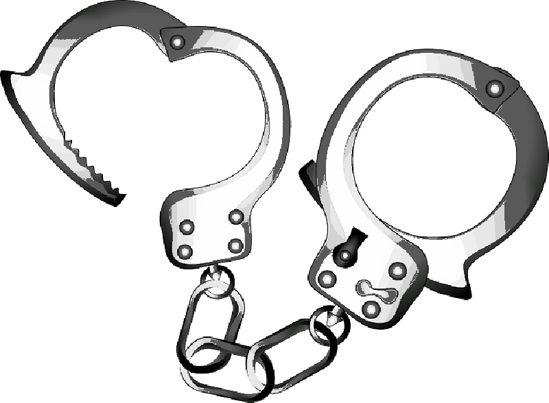 Mb Image/png - Joyce Mckinney And The Case Of The Manacled Mormon (800x588), Png Download