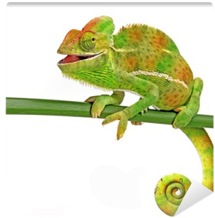 Happy Chameleon (400x400), Png Download