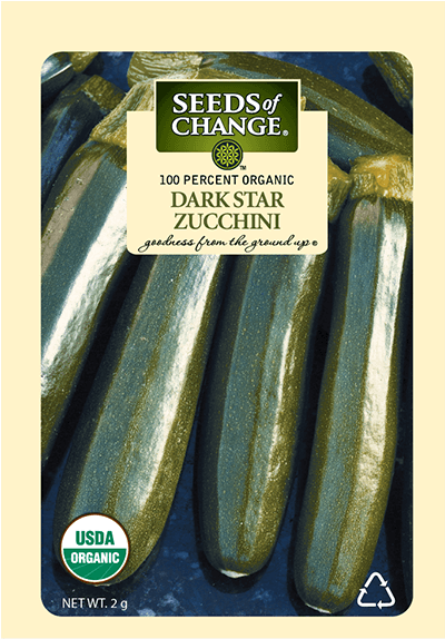 Organic Dark Star Zucchini Squash Seeds - Squash Black Beauty Zuchinni Organic Seed (573x573), Png Download