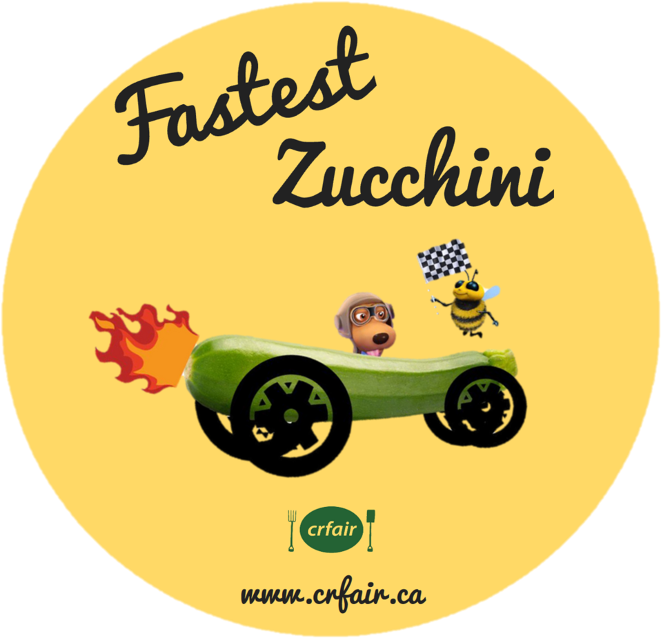 Zuc Pic Transparent - Portable Network Graphics (1000x1003), Png Download