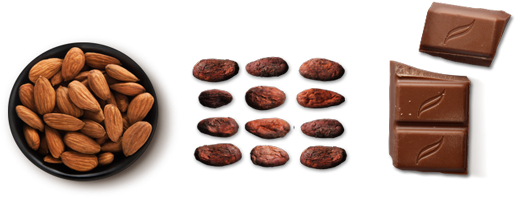 Chocolate Almond Png - Chocolate With Almonds Png (580x220), Png Download