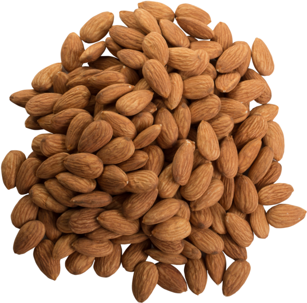 Almond Top View Png (600x600), Png Download