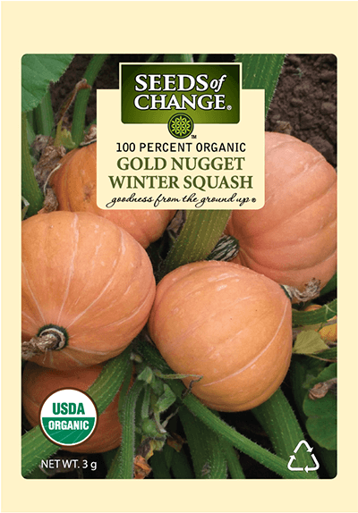 Organic Gold Nugget Squash Seeds - Seeds Of Change 21076 Organic Zesty Cln Quinoa Blend (573x573), Png Download