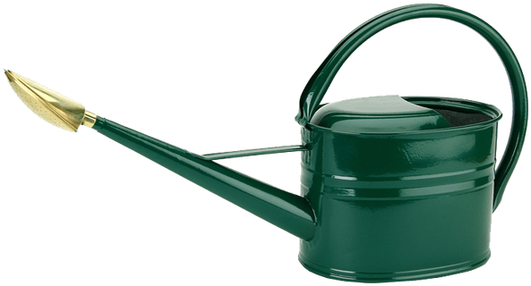 Green Watering Can Gardening Transparent Image Svg - Watering Can Transparent Background (624x481), Png Download
