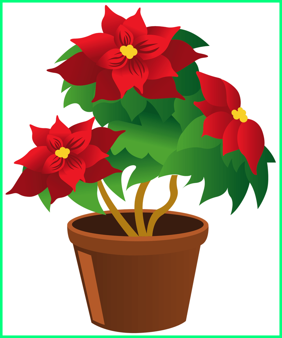 Best Poinsettia Pot Png My Garden Valley - Flower Pot Clipart Png (908x1088), Png Download