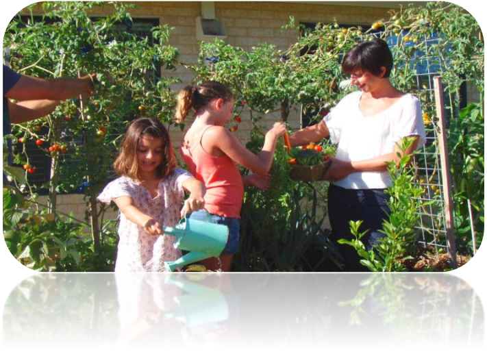 Vegetable Gardening Basics - Fir (711x514), Png Download