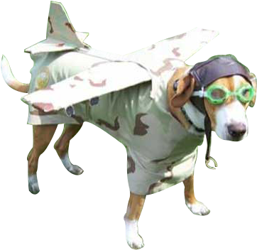 Airplane Dog (393x358), Png Download