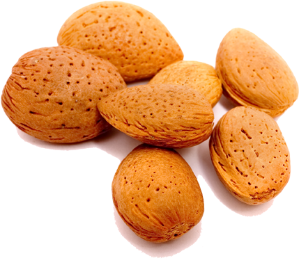 Almond Natural Skincare - Almond Seeds Vs Apricot Seeds (500x438), Png Download