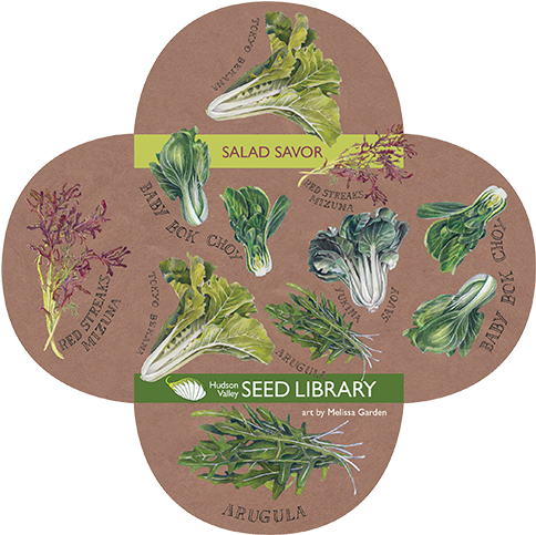 Related Blog Posts - Salad (576x550), Png Download