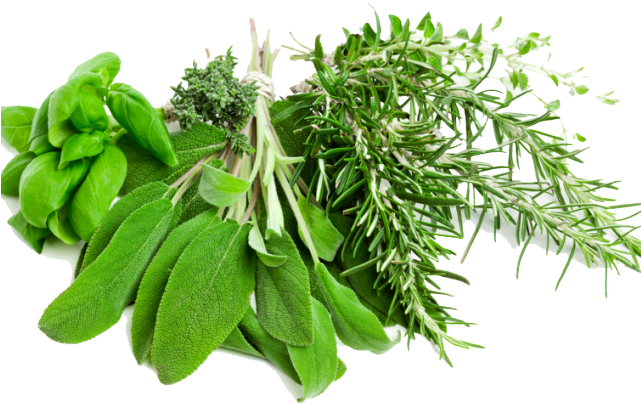 Herbs Clipart Transparent Background - Herbs Png (640x480), Png Download