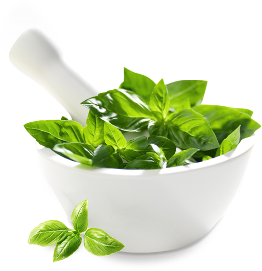Fresh Herbs In Your Cupboard Not Your Fridge - Herbal Png Transparent (513x530), Png Download