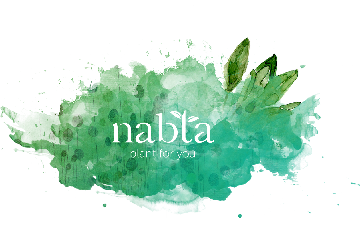 About Us - Illustration (1275x851), Png Download