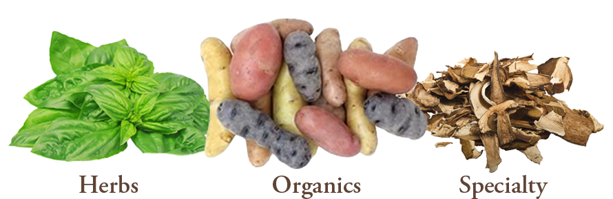 Bay Area Herbs & Specialties - Fruit Shop (945x300), Png Download