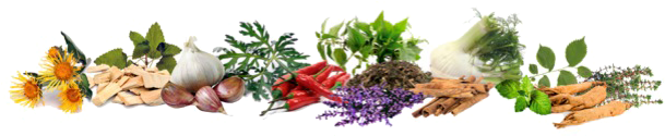 Herbs And What Do They Do - Natural Foods (961x397), Png Download