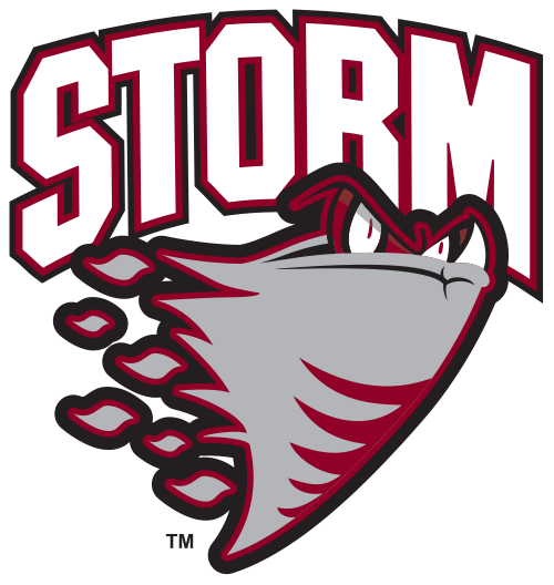Guelph Storm - Guelph Storm Logo Png (500x528), Png Download
