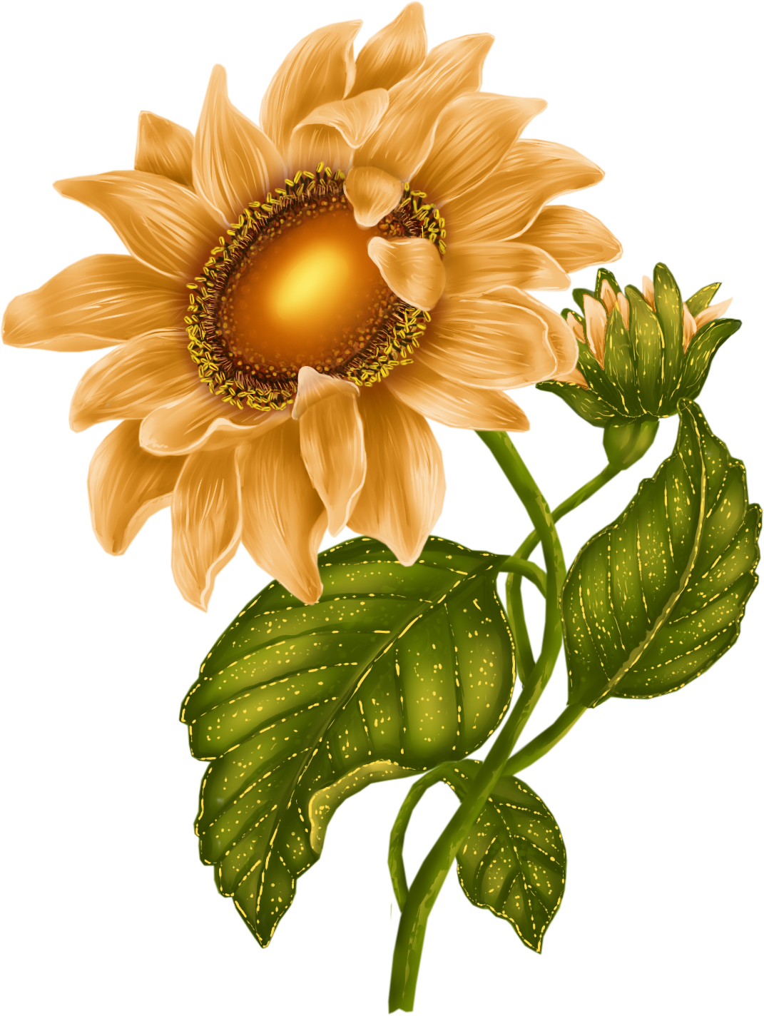 October 2015 « Archive - Flowers Flores Clipart (1071x1424), Png Download