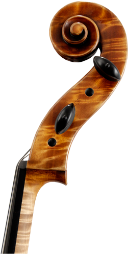 Viola (250x520), Png Download