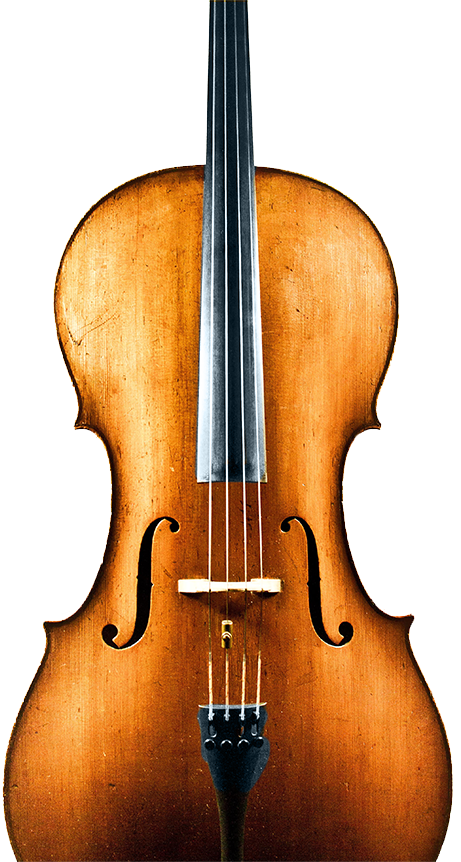 Cello - School (461x862), Png Download