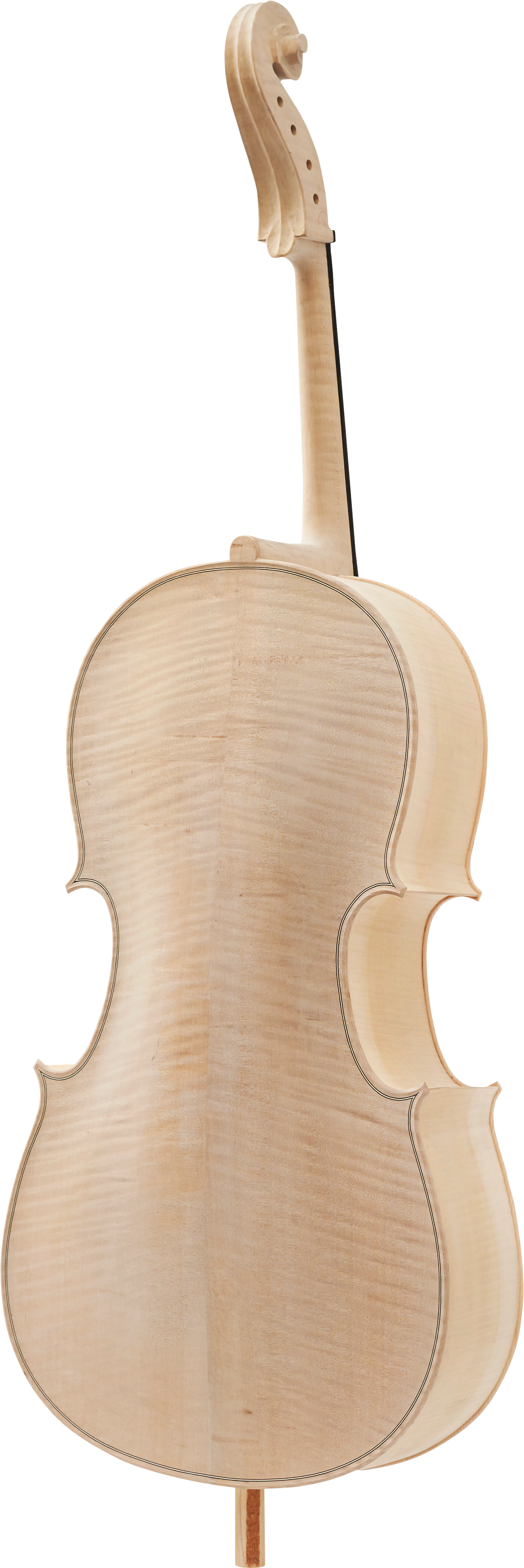 Viola (1600x4300), Png Download