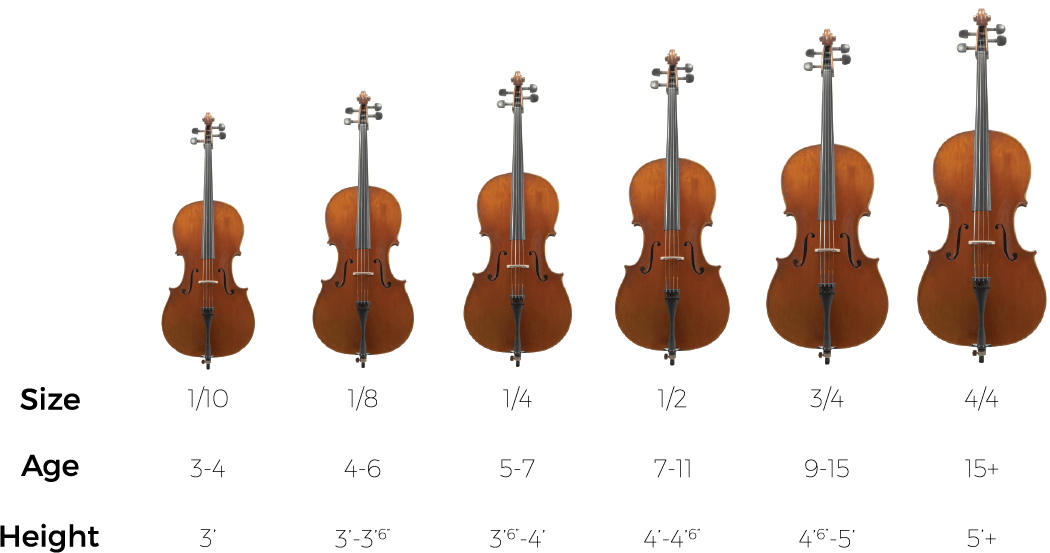 Specs - 1 8 Violin Size (1050x553), Png Download