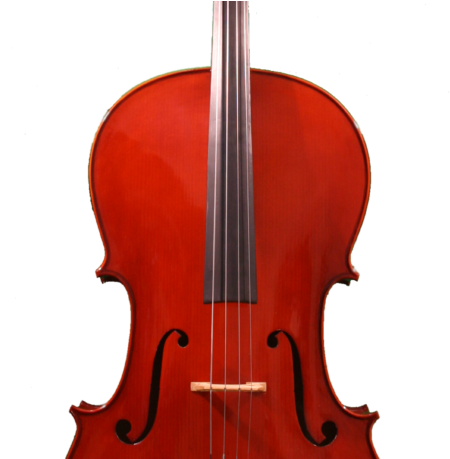 Ametto Starter Cello Outfit [$599] - Violin (458x458), Png Download