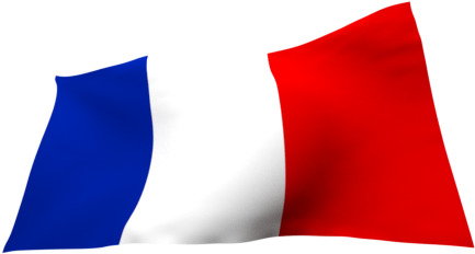 Anybody Can Learn French With The Worddive Method - Learning (518x291), Png Download