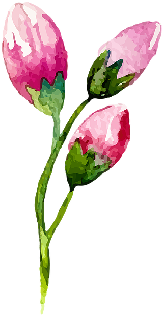 D - M Schimatari - Leggings La Moda (600x704), Png Download