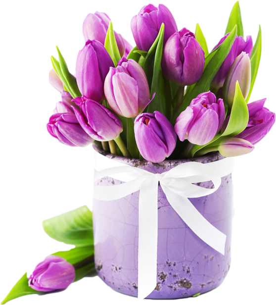 Tulip Flower Vector, Tulip, Lavender, Violet Png And - สวัสดี วัน เสาร์ ดอกไม้ (640x640), Png Download