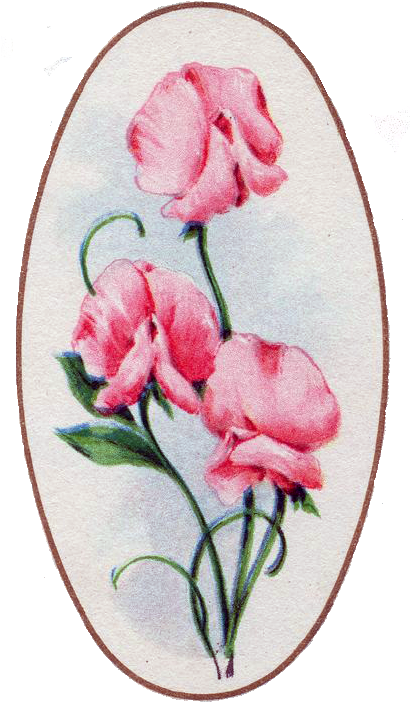 The Color Cleaned Up - Lily Of The Valley (409x764), Png Download