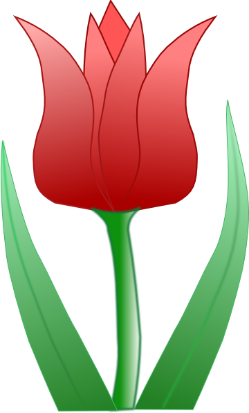 Tulip Svg Clip Arts 360 X 598 Px (360x598), Png Download
