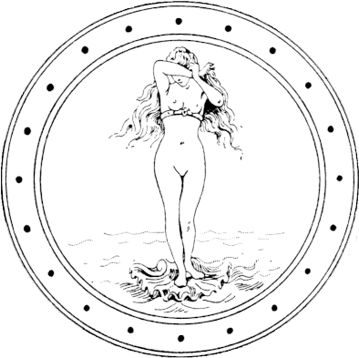 Line Drawing Venus Design - Estrella De David Esoterica (410x403), Png Download