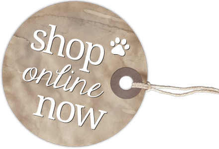 Shopnow - Shop Now Dog (440x300), Png Download