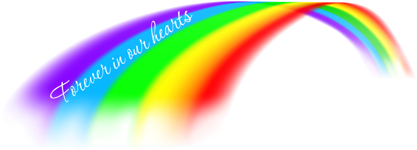 Rainbow Bridge Png (854x321), Png Download